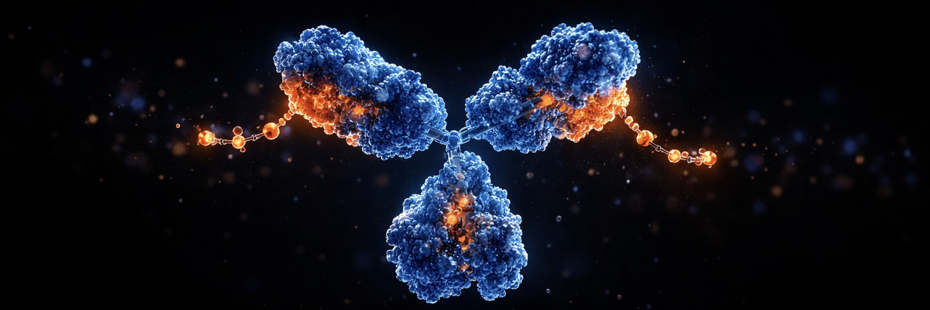 Antibody-drug conjugate molecular structure